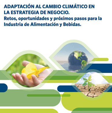 Adaptacion-al-cambio-climatico-en-la-estrategia-de-negocio