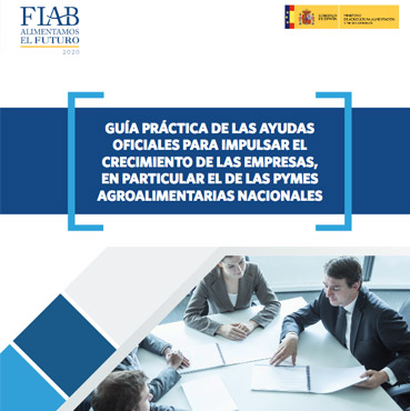 Guia-practica-de-las-ayudas-oficiales-para-impulsar-el-crecimiento-de-las-empresas