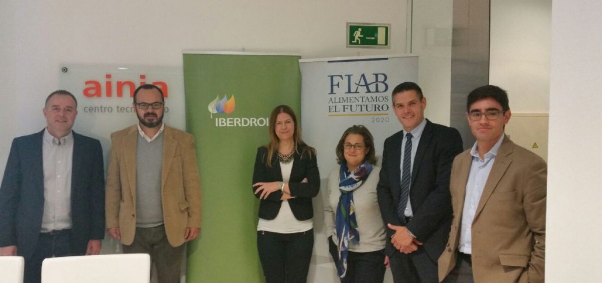 FIAB Iberdrola AINIA
